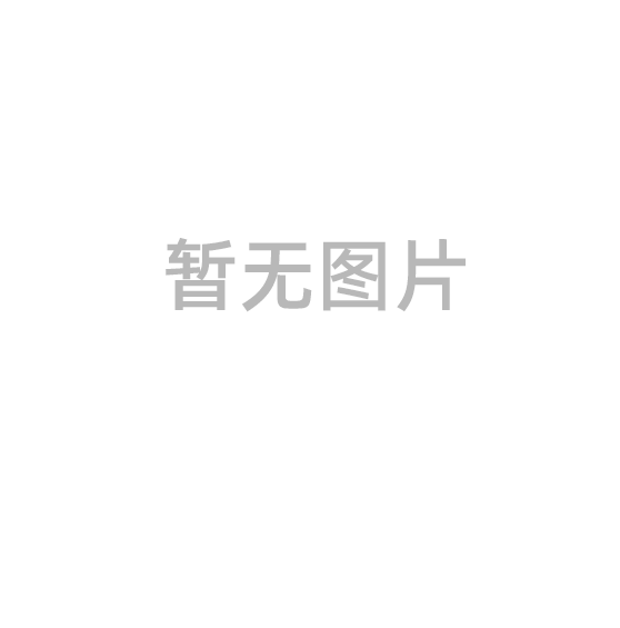 開(kāi)展電力領(lǐng)域、電力系統(tǒng)調(diào)節(jié)性電源建設(shè)運(yùn)營(yíng)兩項(xiàng)綜合監(jiān)管工作